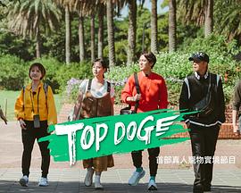 樱桃导航《TOP DOG》免费在线观看